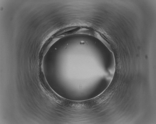 X0000067890440200604201313