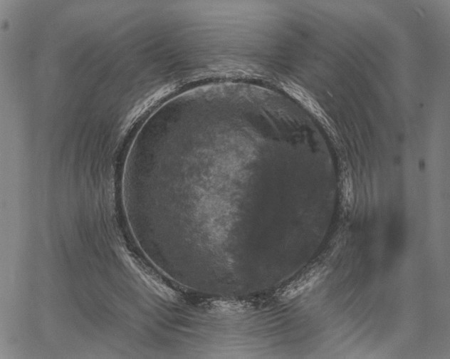 X0000067890442200604201313