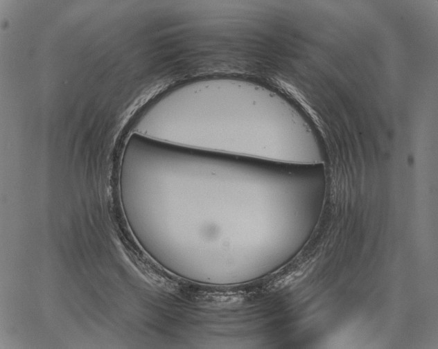 X0000067890443200604201313