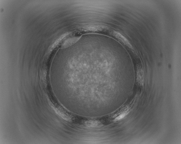 X0000067890444200604201313