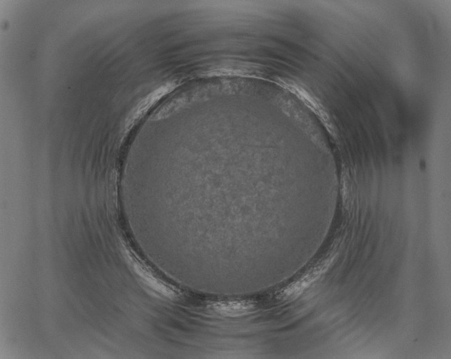 X0000067890445200604201313