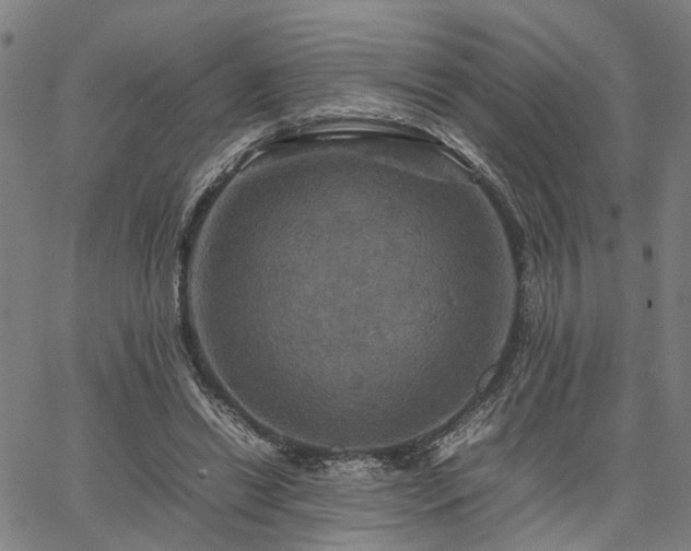 X0000067890446200604201313