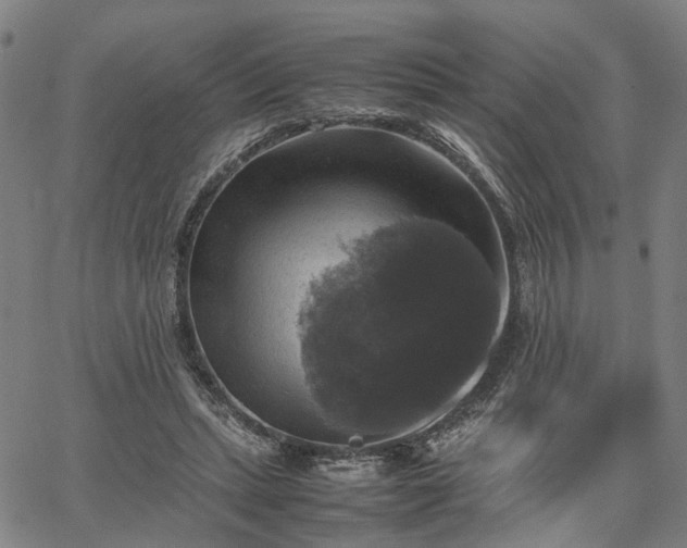 X0000067890447200604201313