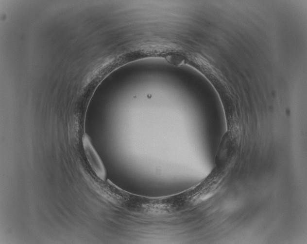 X0000067890448200604201313