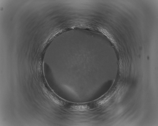 X0000067890449200604201313