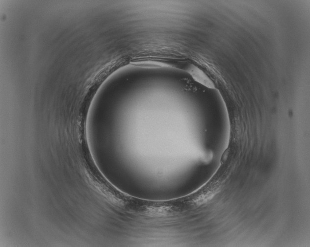 X0000067890450200604201313