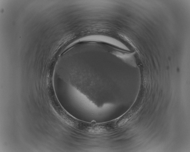 X0000067890451200604201313