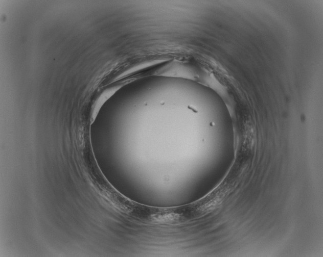 X0000067890452200604201313