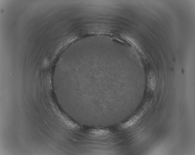 X0000067890453200604201313