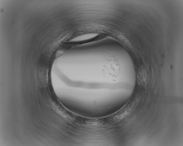 X0000067890454200604201313