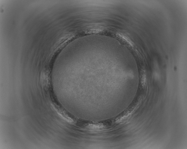 X0000067890455200604201313