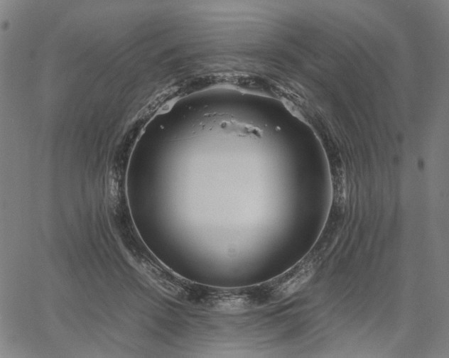 X0000067890456200604201313