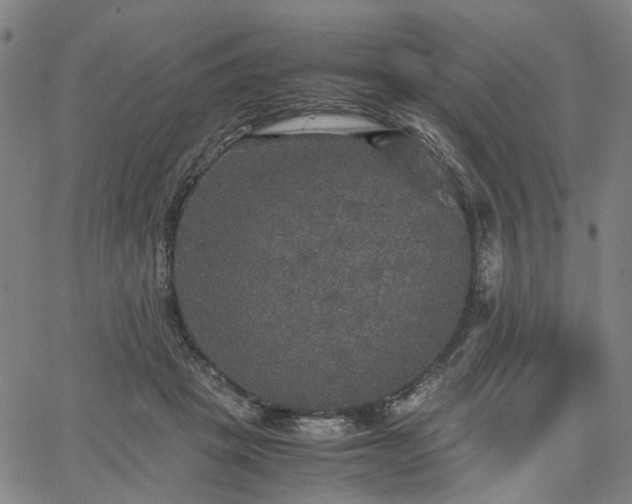 X0000067890457200604201313