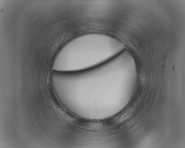 X0000067890458200604201313