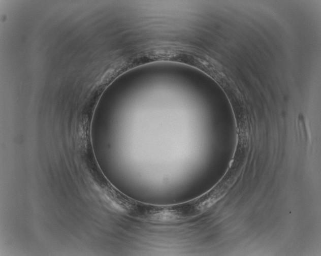 X0000067890460200604201313