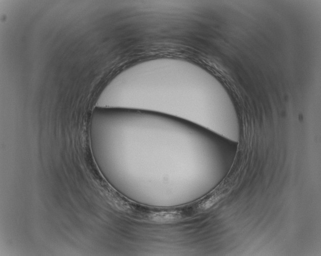 X0000067890461200604201313