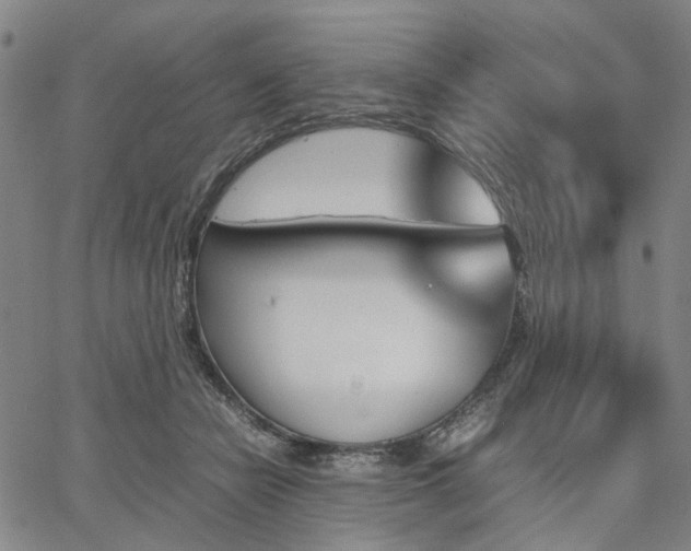 X0000067890462200604201313