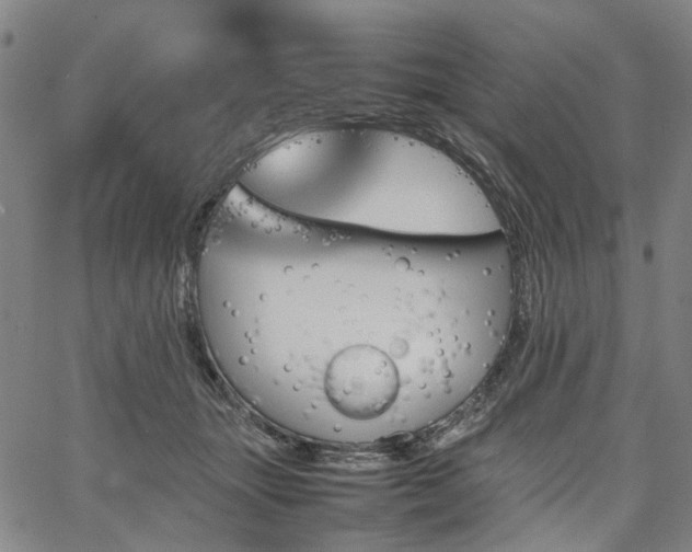 X0000067890463200604201313