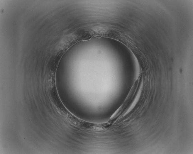 X0000067890464200604201313