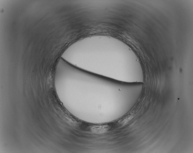 X0000067890465200604201313