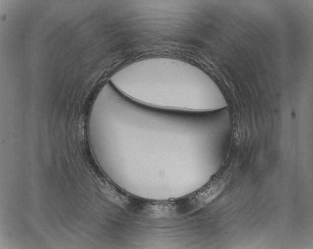 X0000067890466200604201314