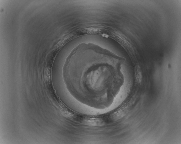 X0000067890467200604201314