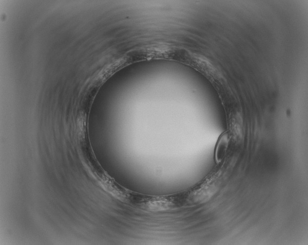 X0000067890468200604201314