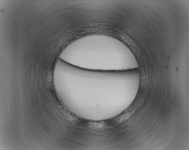 X0000067890469200604201314