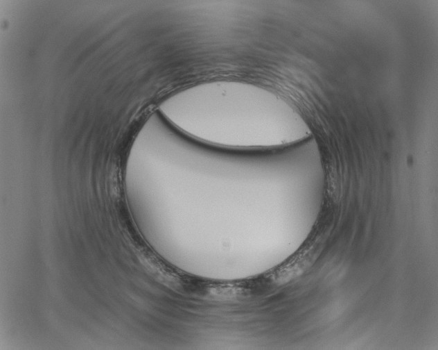 X0000067890470200604201314