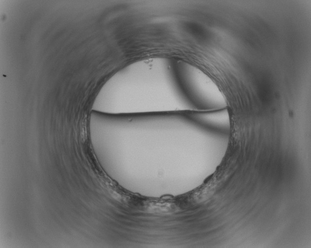 X0000067890471200604201314