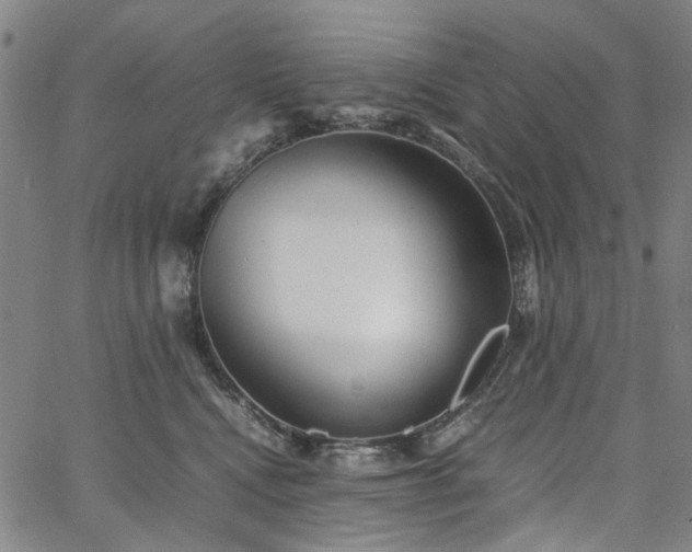 X0000067890472200604201314