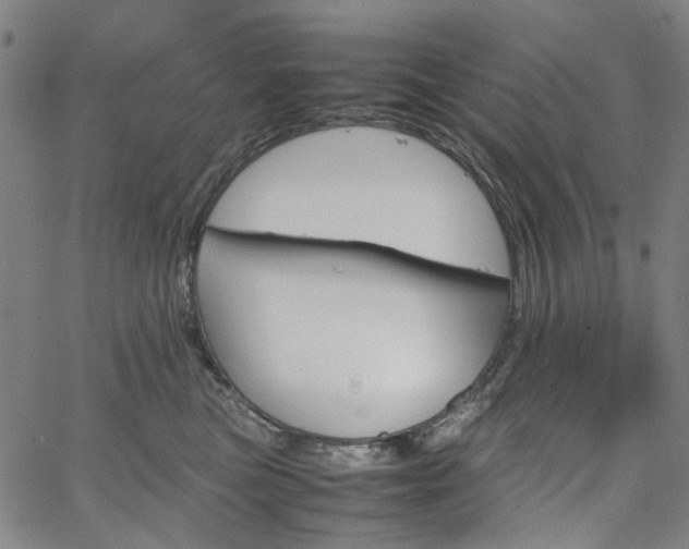 X0000067890473200604201314