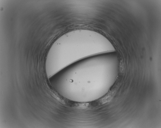 X0000067890474200604201314