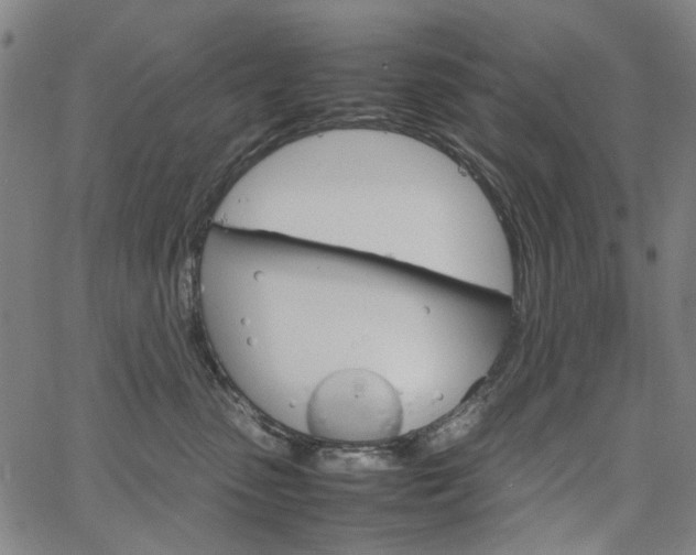 X0000067890475200604201314