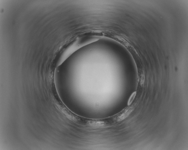 X0000067890476200604201314