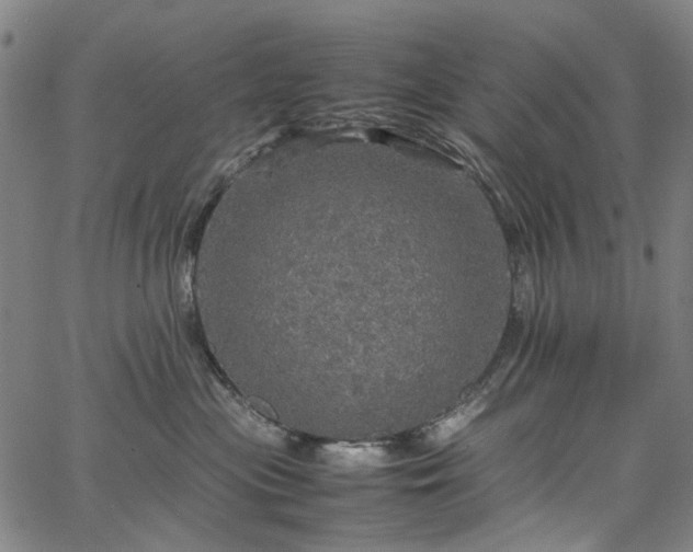 X0000067890477200604201314