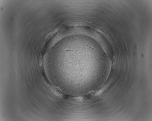 X0000067890478200604201314