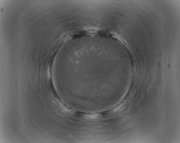 X0000067890479200604201314