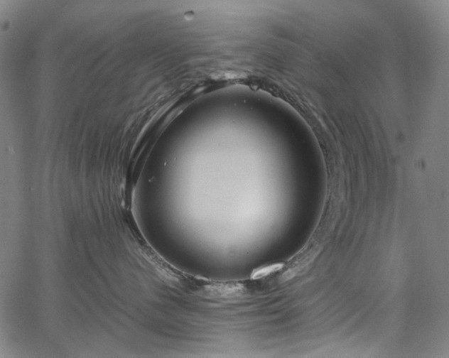 X0000067890480200604201314