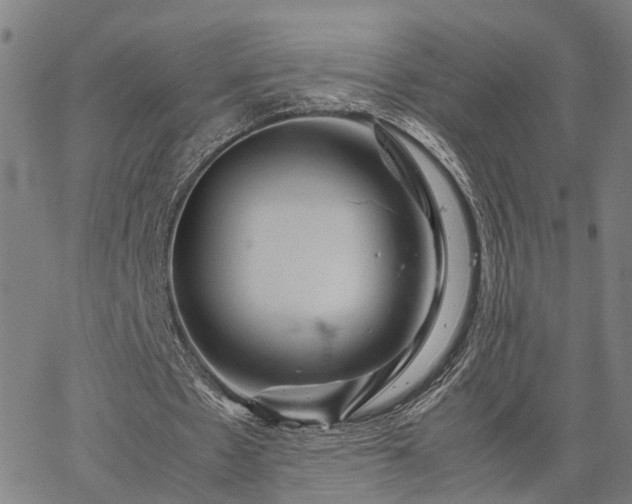 X0000067890481200604201313