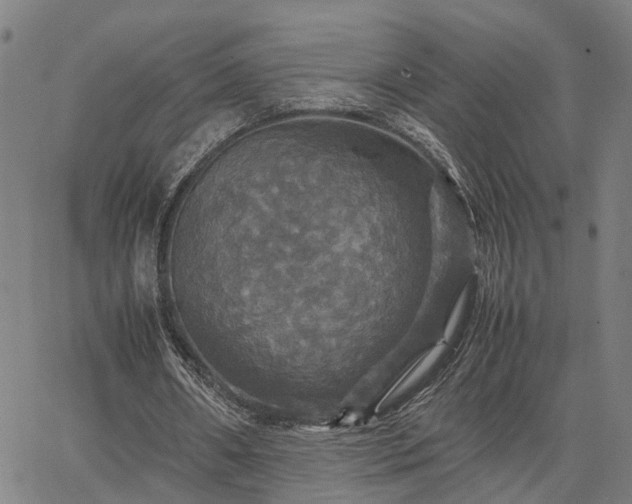 X0000067890482200604201313