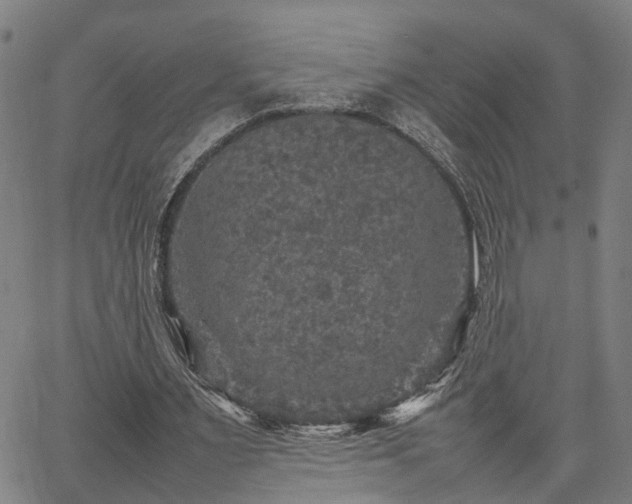 X0000067890483200604201313