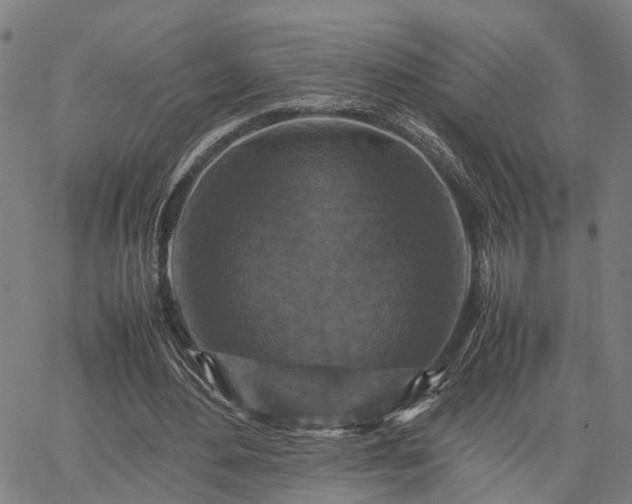 X0000067890484200604201313