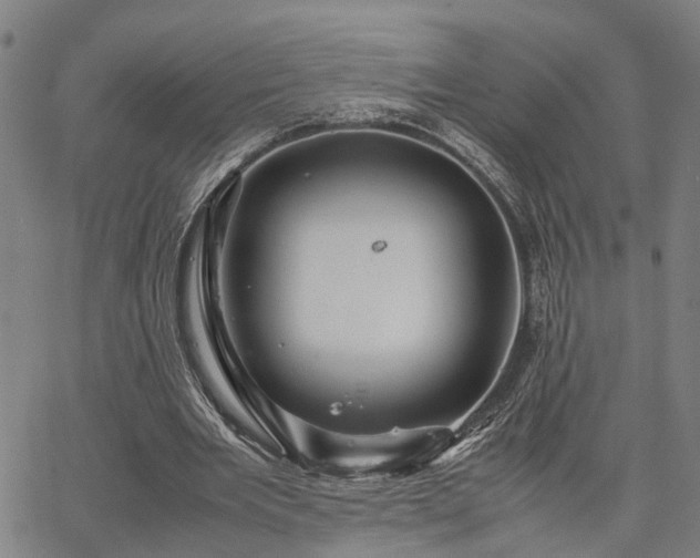 X0000067890485200604201313