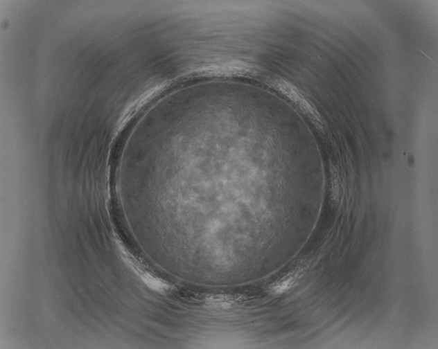 X0000067890486200604201313