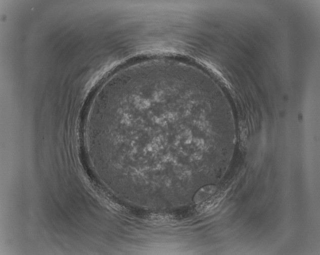 X0000067890487200604201313