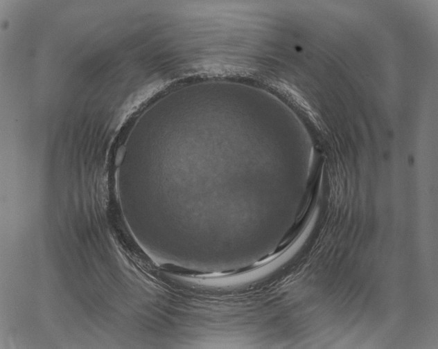 X0000067890488200604201313