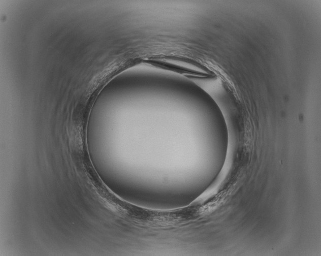 X0000067890489200604201313