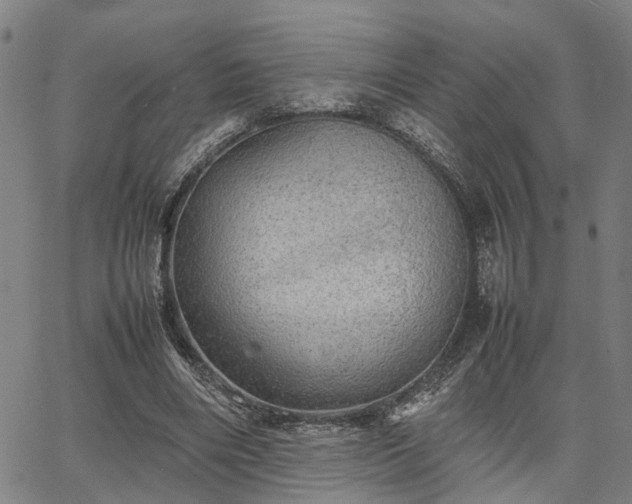 X0000067890490200604201313