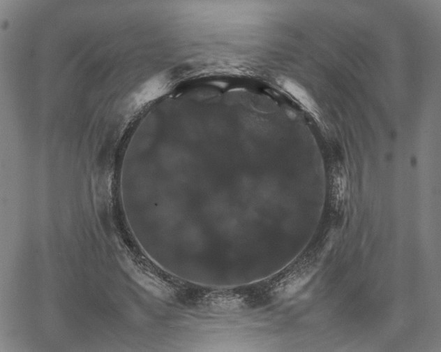 X0000067890491200604201313